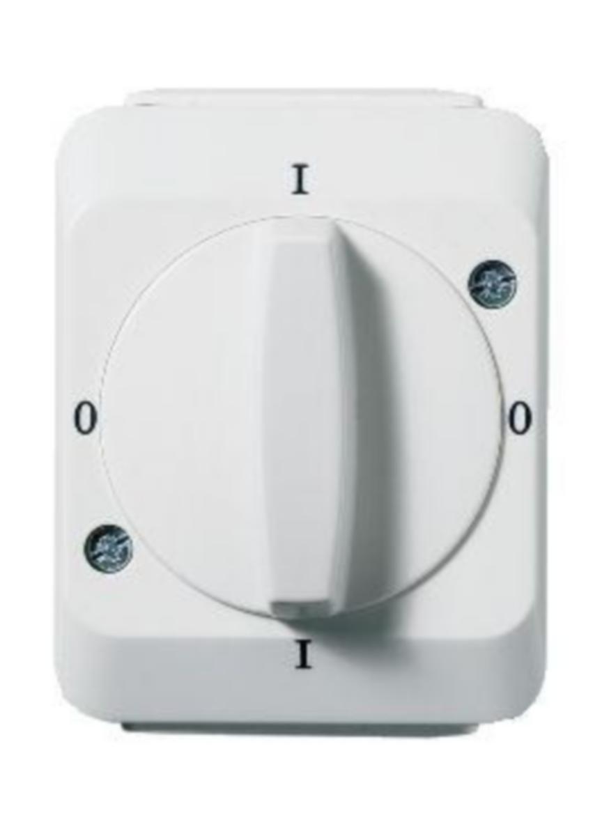 Pinnallinen vääntökytkin IP44 Artic Schneider Electric – Myymälävalikoima (DIY) - VÄÄNTÖKYTKIN PINTA ARTIC 2-NAP VALK IP44 1kpl